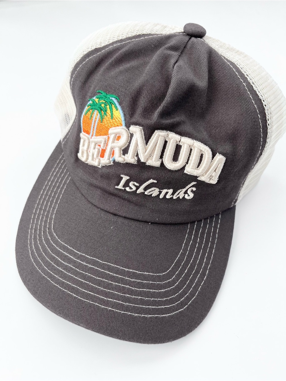 Free People Trucker Hat NEW